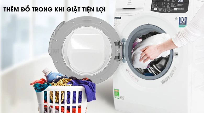 Ảnh 4