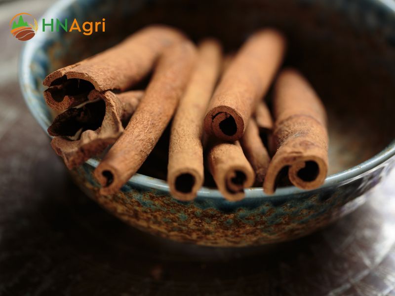 hanoi-cinnamon-your-reliable-partner-for-wholesale-spice-success-1