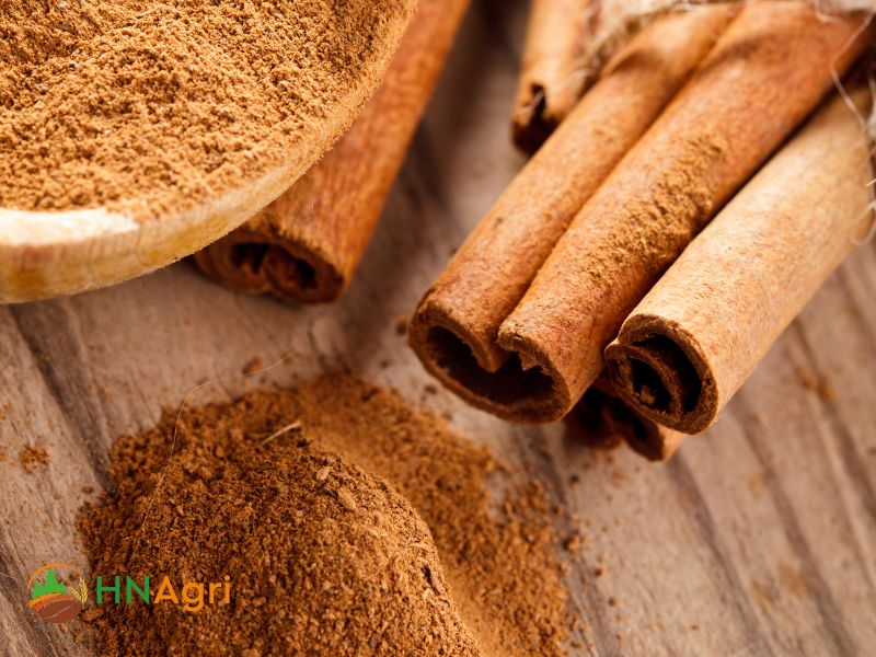 cinnamon-suppliers-how-to-find-and-work-with-reliable-partners-2