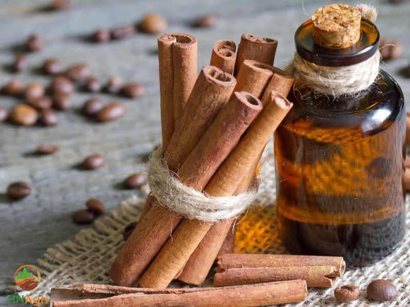 unveiling-the-health-benefits-of-cinnamon-oil-1